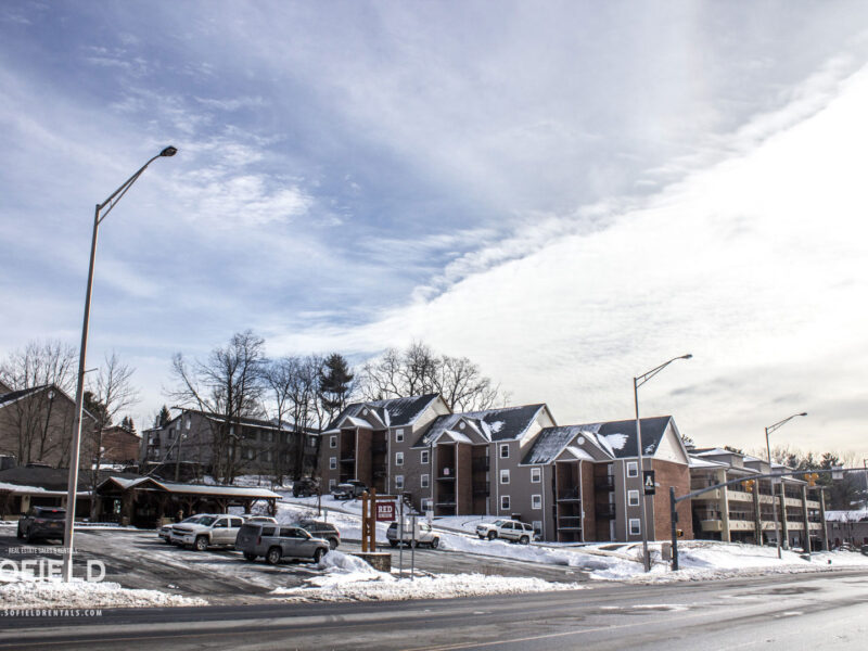 Plymouth Trace Apartments - Boone